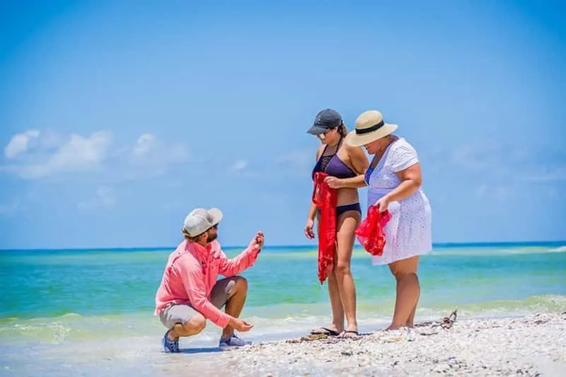 Mangrove islands and calm Gulf water on a Marco Island sunset cruise and sightseeing boat tour, Florida