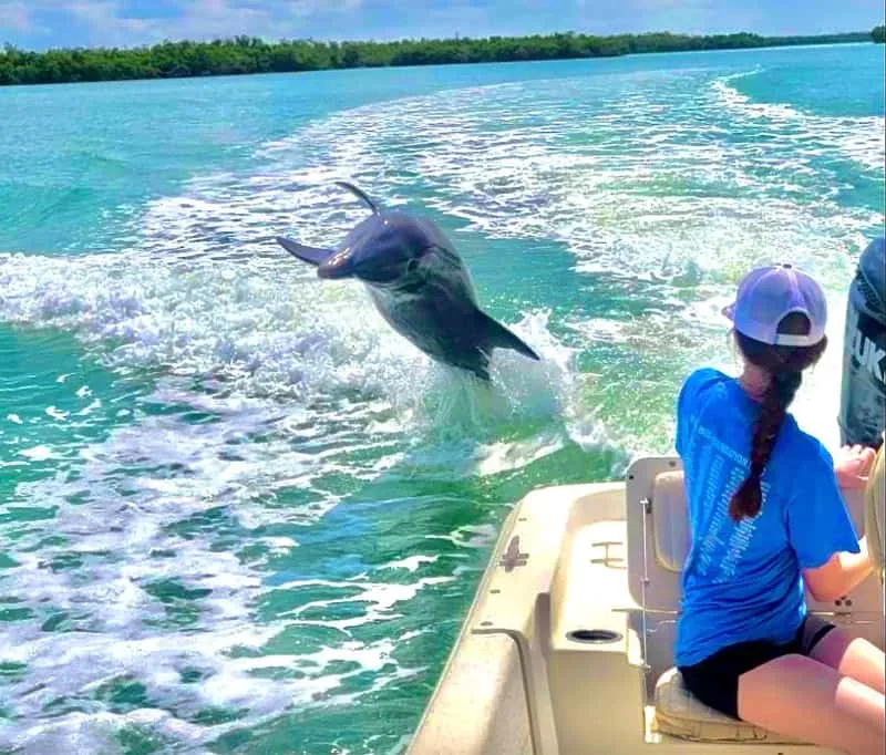 A private boat beside wild dolphins on a Marco Island sunset cruise and private shelling excursion, Florida